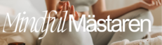 Mindfulmästaren